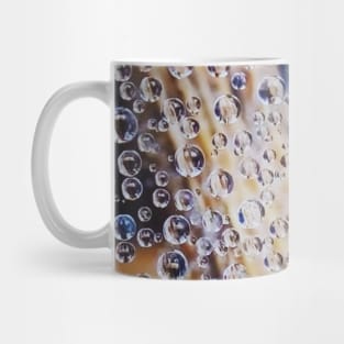 dew drops web in ithe morning Mug